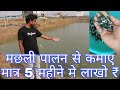 मछली पालन से कमाए मात्र 5 महीने में लाखो ₹/// MUPKINO FISH FARM PATNA NEW BUS STAND