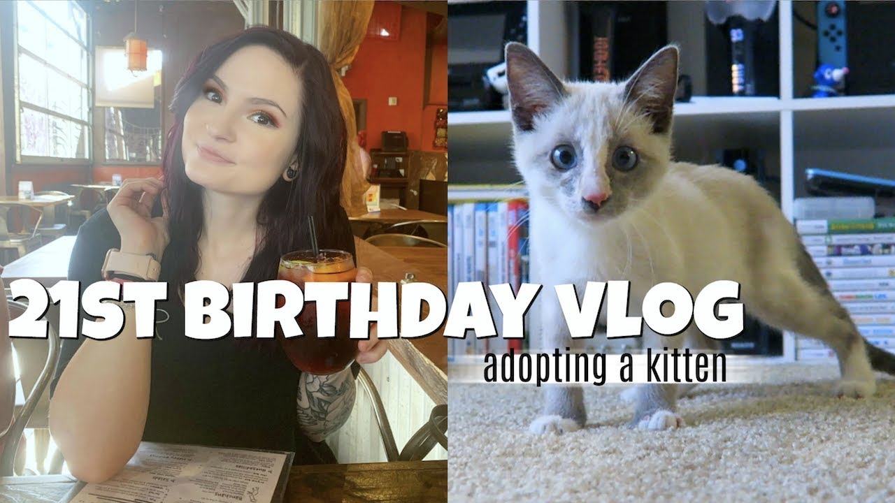 I turned 21 and adopted a kitten