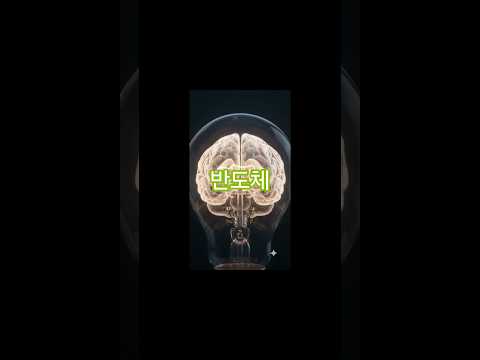 사람 뇌 vs AI 반도체, 왜 '기억'이 병목이었을까 (HBM의 비밀)