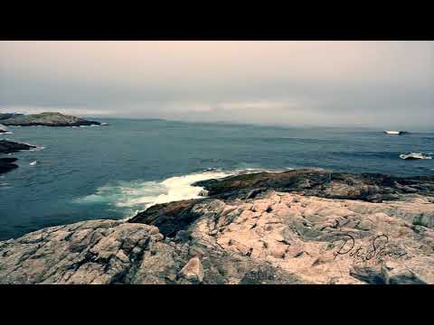 Video: De Beste Plekken Op De Officiële Chowder Trail Van Nova Scotia