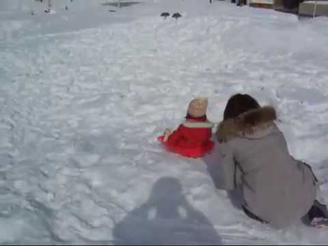 ソリ遊びでのハプニング お約束