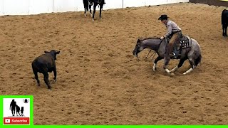 Cutting Horses Class 5-6 Final - 2020 Metallic Cat West Texas Futurity