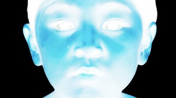 Electrobardo - Timelapse (Official Music Video)