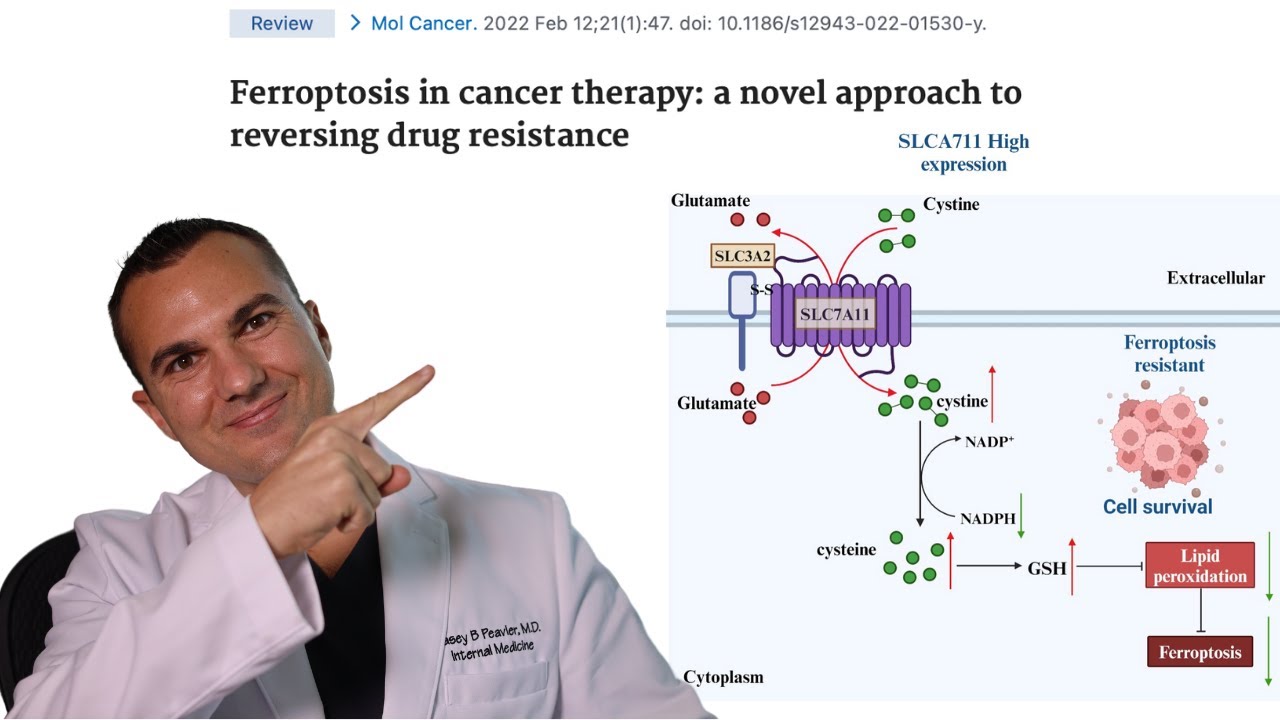 glutathione ferroptosis DOJINDO LABORATORIES GSH and Ferroptosis: Side-by-Side Partners