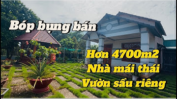 nhà vườn trái cây ở BR-VT này mê quá. anh nghĩa càn bán gấp để xoay công nợ (đã bán)