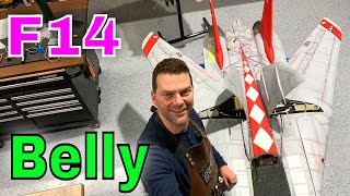 대규모 F-14 중간 섹션 정리 - Skymaster F14 screenshot 5