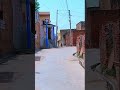 Rural India HR Village Natural Lifestyle In Haryana Haryana Village S Shorts Rural India HR Village Natural Lifestyle In Haryana Haryana Village S Shorts