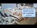 Fish Facts: மீன்களின் பெயர்கள் தமிழ் & ஆங்கிலத்தில் | Names of Fishes in Tamil & English (Part-1)