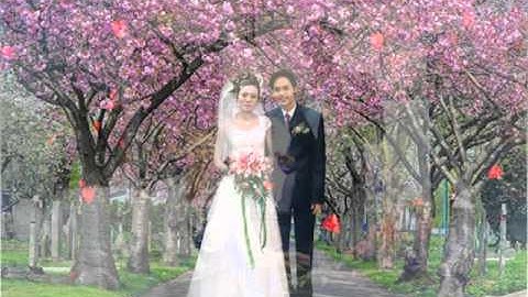 Mùa Xuân Đó Có Em Toàn Nguyễn