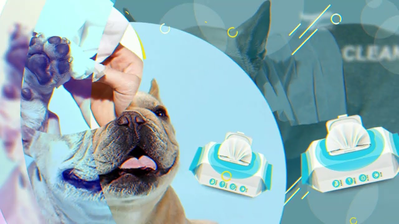 China Best Professional pet grooming wipes manufacture,Hopingwipes.com