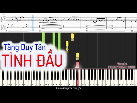 Hướng dẫn piano TÌNH ĐẦU – Tăng Duy Tân | Sheet Free