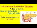 Structure and Function of Pancreas | Role of Insulin | Islet of Langerhans | in Hindi