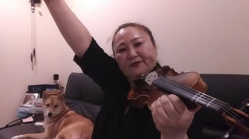 Open String Samba: Violin tutorial for the beginners: