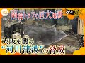 【南海トラフ】最新技術で「見える化」 内陸にも到達する“河川津波”