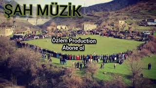 ŞaH Müzik SÜPER HALAYI KASETİ YENİ HD Resimi