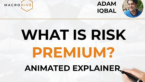 What is Risk Premium? Macro Hive Expert Explainers: Adam Iqbal, Goldman Sachs - DayDayNews
