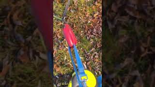 walking the dogs 🐕🐕🐕🐕🐕