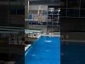 3m spring board Diving #diving #olympicsport #worldaquatics