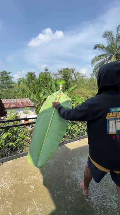 Download lagu RC FLYING BANANA LEAF KITE EXPERIMENT 6 #rc #creativeideas #diy #kites #kite
