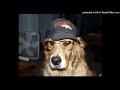 amir.pr0d + lunchbox + 800pts + benjicold + lunchtime type beat prod. axon