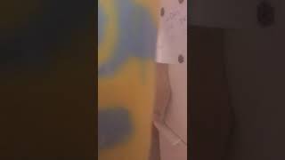 Opening a box of minion popsicles