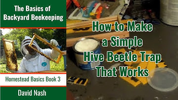 How to Make an Easy Small Hive Beetle Trap That Works