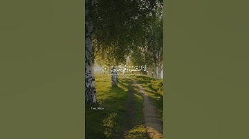 القرآن الكريم💚 #reels #اكسبلور #quran #الله #راحة_نفسية #قرآن #القرآن_الكريم #تجويد #تلاوة #ريلز
