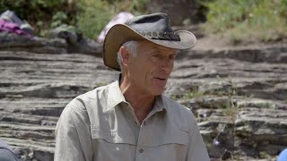 Bear Encounters With Jack Hanna