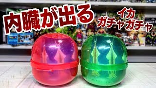 中身が飛び出す！イカとワタ 蓄光タイプあり ガチャガチャ 開封レビュー