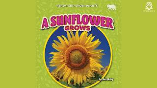 A Sunflower Grows (Ready, Set, Grow: Plants), by Rex Ruby | Level 1 | 2025