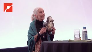 Jane Goodall & Mr H’s Message of Perseverance