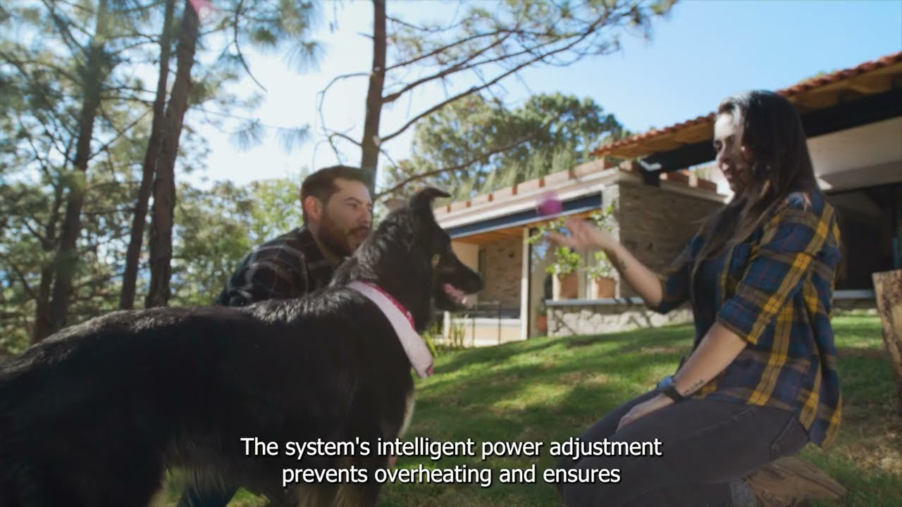 Wellturn F600 In-Ground Dog Fence, launched with dual collars for different dogs.