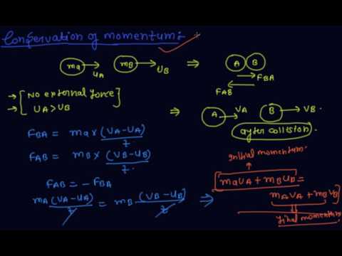 Conservation Of Momentum Class 9 Physics Force And Laws Of Motion