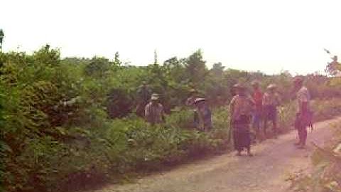 Video evidence of forced labour in Papun District