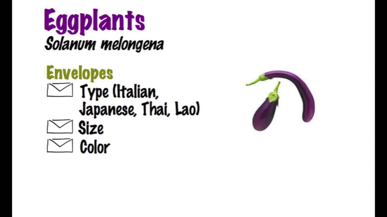 How to save tomatoes peppers eggplant youtube