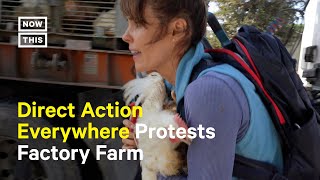 Animal Rights Activists Arrested for Blockading Slaughterhouse