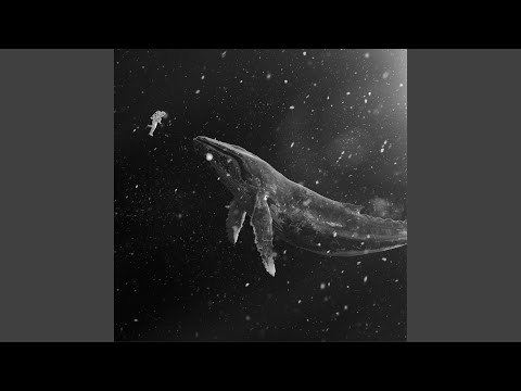 EXO - Sing for You