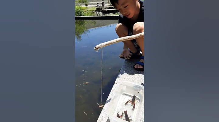ザリガニ釣り#shorts #ザリガニ釣り #アメリカ