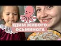 ЕДИМ ЖИВОГО ОСЬМИНОГА