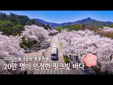 [4K] 20만 명이 함께한 2026 서울대공원 봄꽃축제 | 꽃비 내리던 동화 속 현장 스케치 🌸🎬