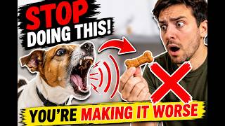 You're Accidentally Teaching Your Dog TO Bark More...