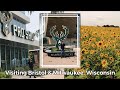 Milwaukee bucks  milwaukee wisconsin and the beautiful sunflower farm