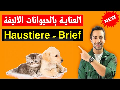 هذا الموضوع يتكرر دائما بالامتحان العناية بحيوانات الجيران Brief