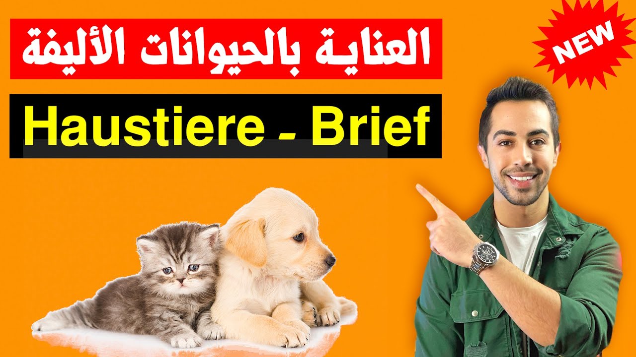 ✅ هذا الموضوع يتكرر دائماً بالامتحان، العناية بحيوانات الجيران Brief