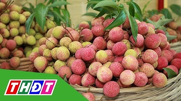 Bắc Giang tiêu thụ hơn 67.000 tấn vải thiều | THDT