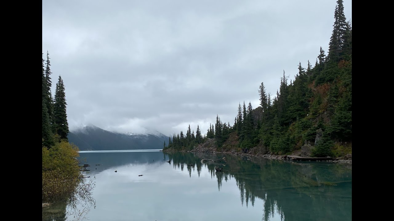 Capilano Lake Hike and Wild Edibles plants on trail, Best Vancouver Hikes