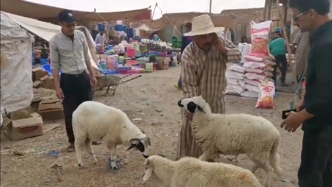 جولة في سوق إدويران امنتانوت نواحي شيشاوة..2019