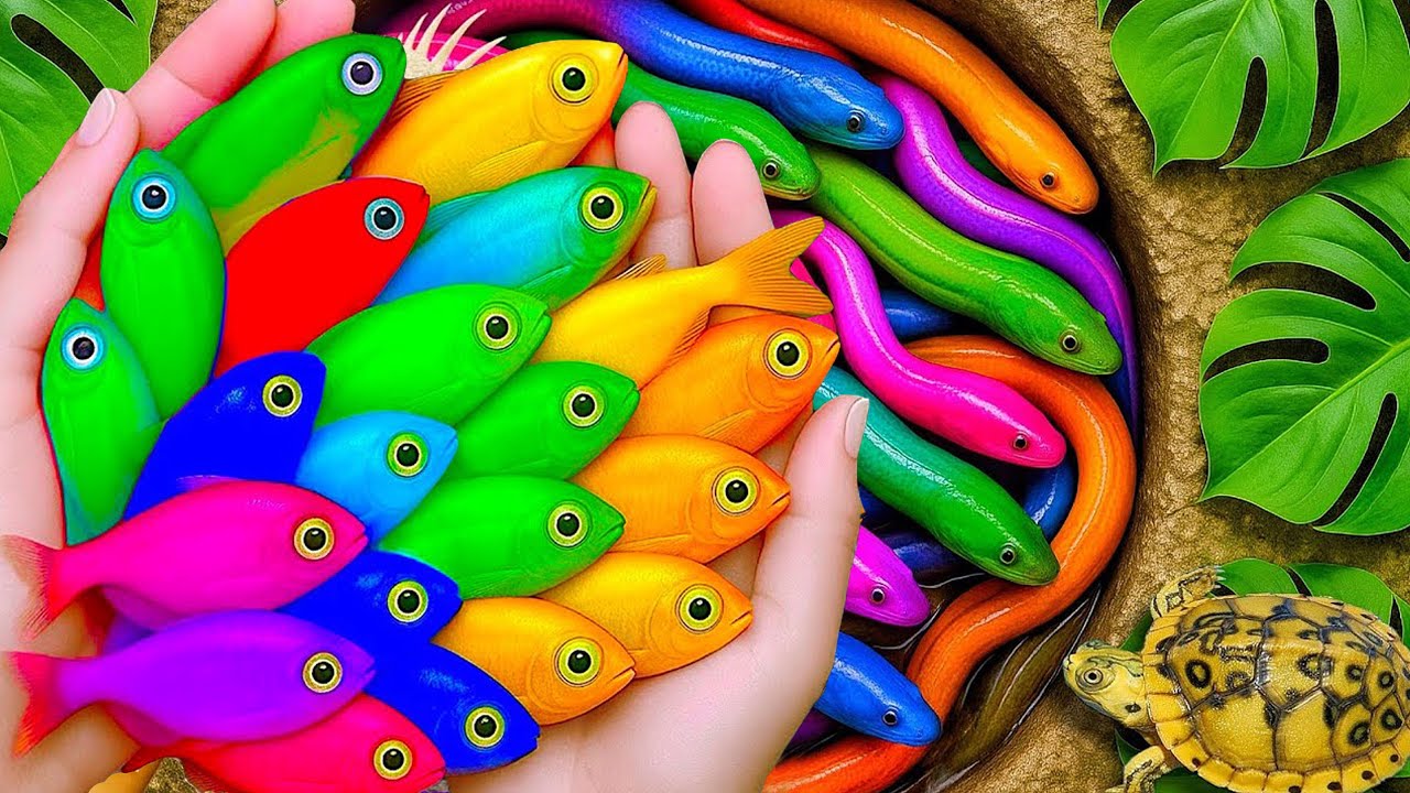 الليلة الأولى ليالي الامتحان الأخيرة ثالثة ثانوي ٢٠٢٥ مع أ محمد صلاح