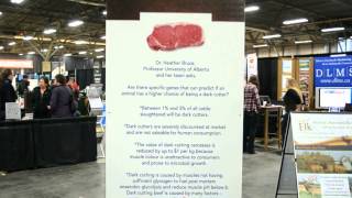 Careers in Beef industry - Meat Scientist
