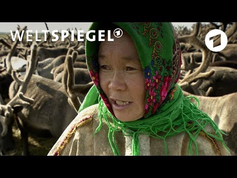 Die Nenzen: Nomaden